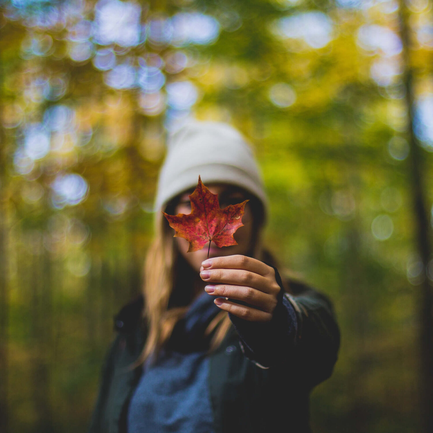 femme tenant une feuille d'automne