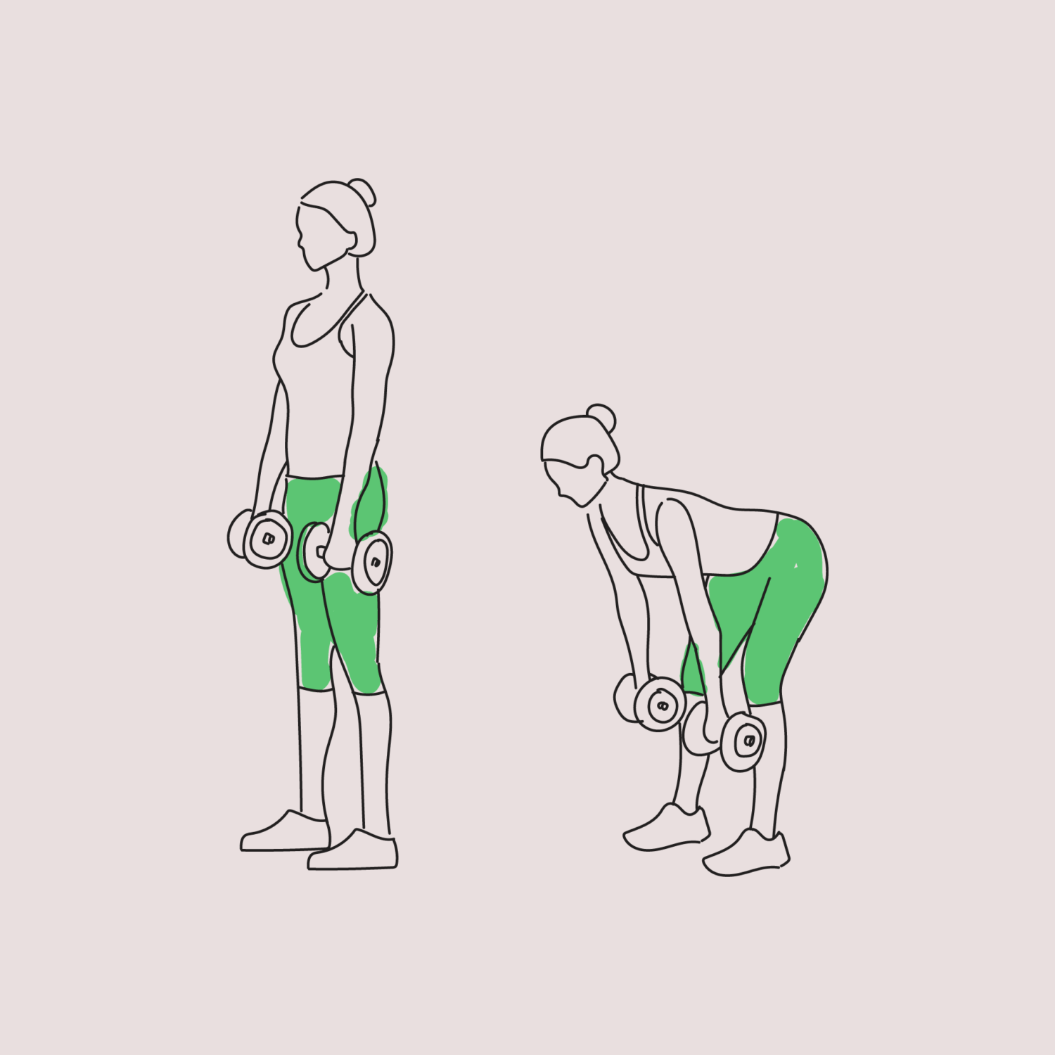 illustration d'un exercice de musculation