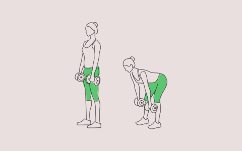 illustration d'un exercice de musculation