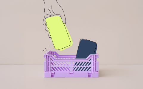 deux cellulaires dans un panier